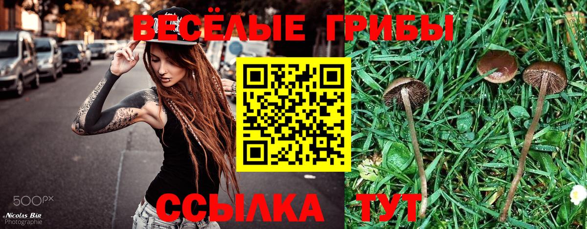 Псилоцибиновые грибы MAGIC MUSHROOMS  Вход с VPN  Шелехов 