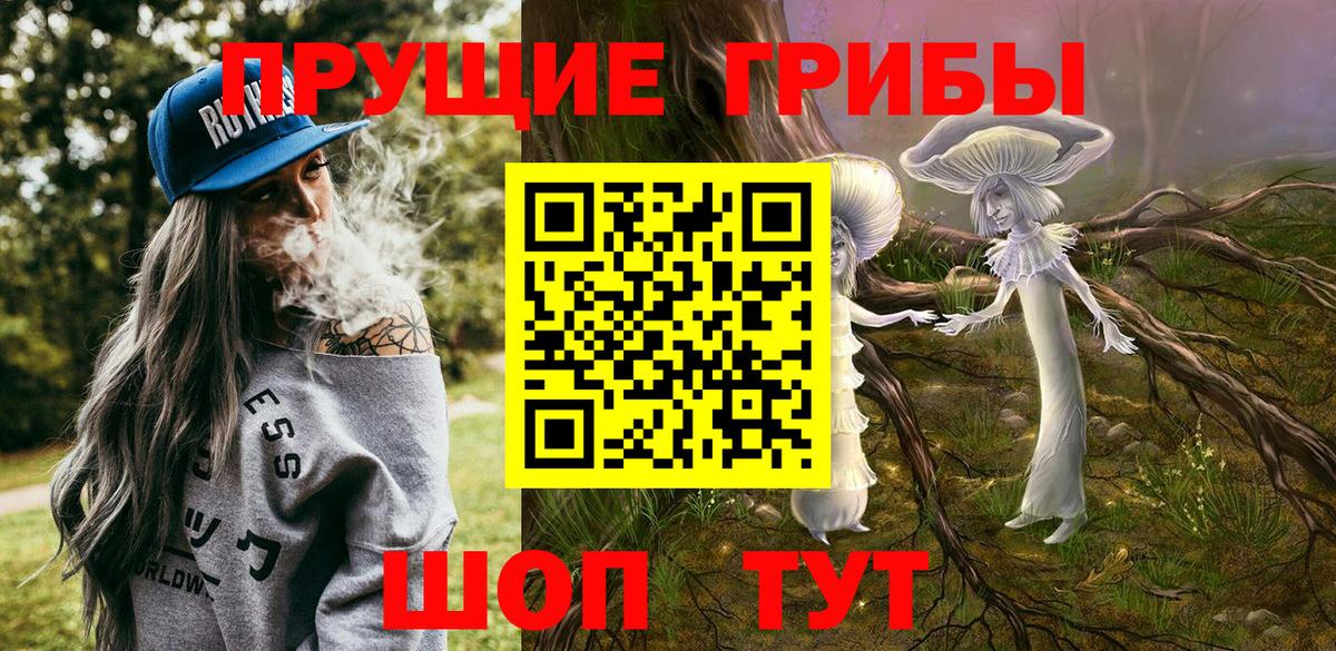 Галлюциногенные грибы прущие грибы Шелехов